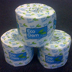 2ply 700 Toilet Paper Roll - Individually Wrapped